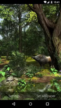 3D Rainforest Live Wallpaper Screen Shot 7