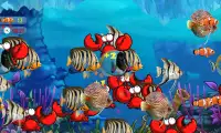 Crab Fish Screen Shot 0