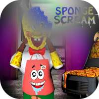 Sponge Granny 3