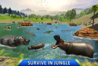 Wild Hippo Beach Attack Джунгли Симулятор Screen Shot 10