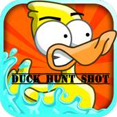 Duck Hunt Shot Free