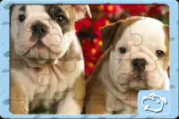 Puppy Dogs Jigsaw Puzzles Screen Shot 1