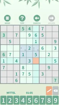Sudoku Logik-Puzzle. Screen Shot 0