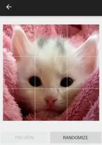 Kitten Sounds and Puzzles Free Screen Shot 3