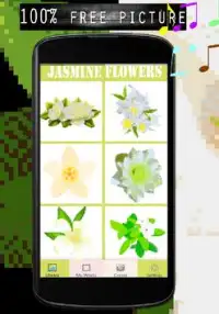 Jasmine Flowers Color By Number-Pixel Art Screen Shot 1