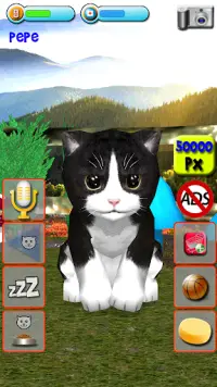Talking Kittens virtual cat that speaks, take care Screen Shot 4