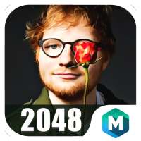 2048 Ed Sheeran Special Edition Game