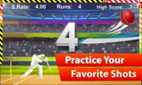 Cricket Match 2018 Screen Shot 3