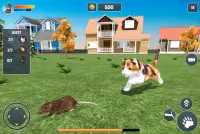 Cat Simulator Game 2020 :Kitty Running Screen Shot 1