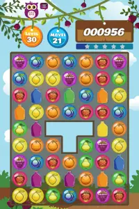 Fruit Safari - Match 3 Puzzle Screen Shot 5