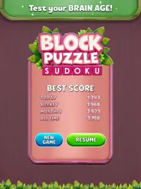 Block Puzzle Sudoku Screen Shot 11