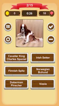 Dogs Quiz Screen Shot 3
