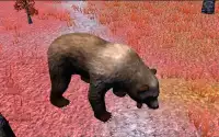 Wild Bear Sniper Hunter 2016 Screen Shot 1