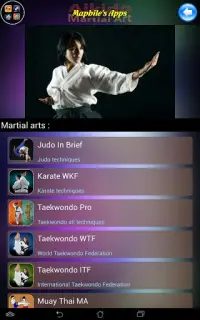 Aikido MA Screen Shot 15