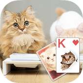 Solitaire Lovely Cats Theme