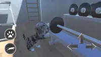 Cat Simulator 🐱 3D Screen Shot 4