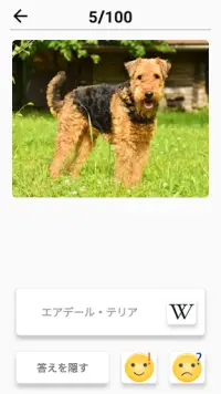 39/5000 犬のクイズ - 写真の中のすべての犬の品種を推測する Screen Shot 7