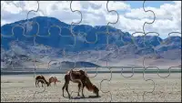Camel Jigsaw Puzzles Game Screen Shot 1