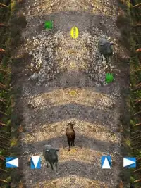 Bull: Angry Attack Simulator Screen Shot 1