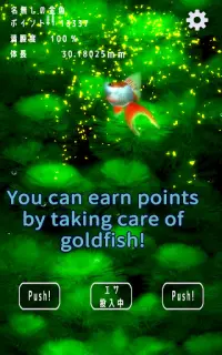 Goldfish Dream　goldfish scoop & goldfish breeding Screen Shot 8