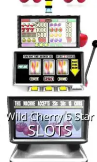 3D Wild Cherry 5 Star Slots Screen Shot 0