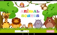 Hayvan Sesleri - Çocuklar için hayvan sesleri Screen Shot 16