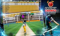 Cricket Champs League Screen Shot 3