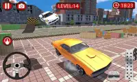 Sports Car Driving Sim 2019 - Driver Simulator Screen Shot 1