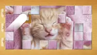 Cat Puzzles - Drag & Swap Screen Shot 1