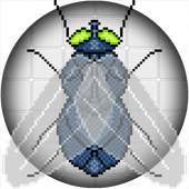 Fly Swat