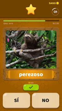 Animales Quiz Multijugador: Aprende en 29 idiomas Screen Shot 5