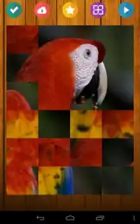 बच्चों के लिए पक्षी पहेली खेल Screen Shot 1