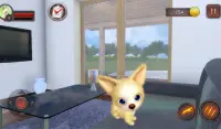 Chihuahua Dog Simulator Screen Shot 14