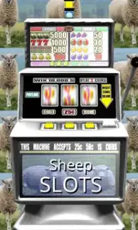 3D Sheep Slots - Free Screen Shot 0