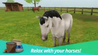 HorseWorld – My Riding Horse Screen Shot 4