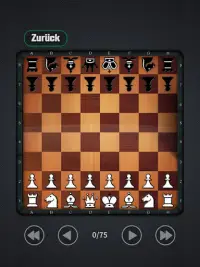 Schach spielen Screen Shot 9