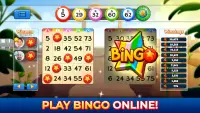 Bingo Pop: Play Live Online Screen Shot 0