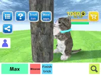 Cat Simulator Screen Shot 7