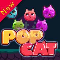 Pop Cat: Gato Kawaii