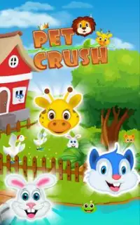 Pet Crush Screen Shot 6