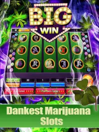 Lucky Weed – Free slots Screen Shot 2