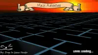 Maze Adventure 3D - Free Labyrinth Game Screen Shot 4