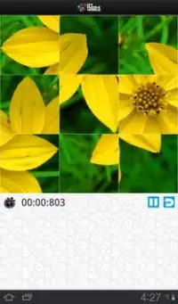 Quebra cabeças Flores – MPW Screen Shot 23