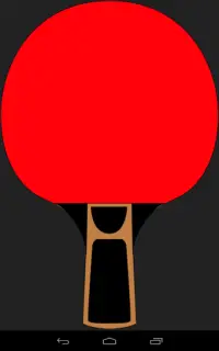 Ping Pong Paddles Screen Shot 2
