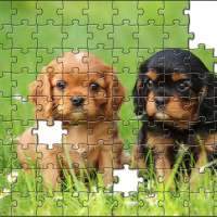 Puppies Jigsaw Puzzle