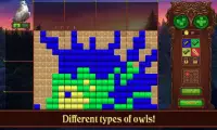 Pixel art. Color cross in the Owls' Kingdom Screen Shot 5