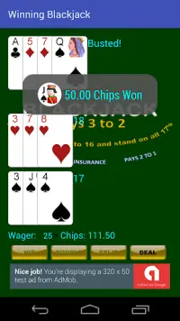 Winning Blackjack Screen Shot 7