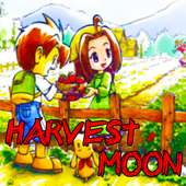 How To Play Harvest Moon Back To Nature