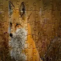 Jigsaw Puzzles - Lost Wild Screen Shot 7