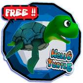 hello turtle
